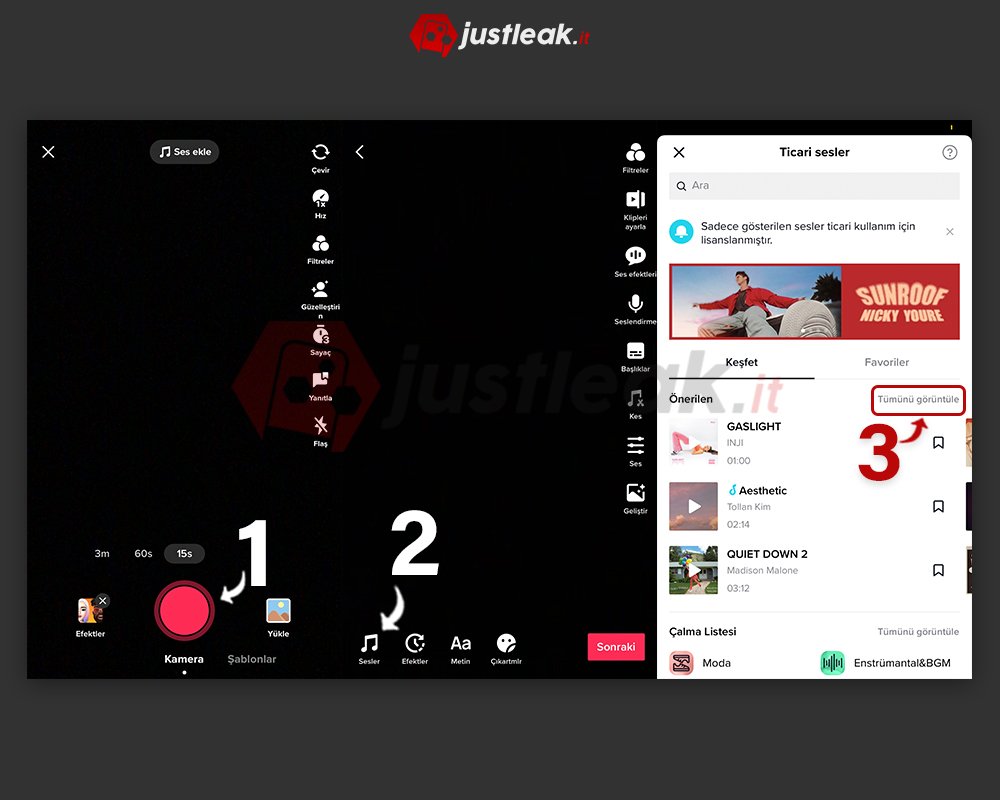 tiktok daha çok müzik