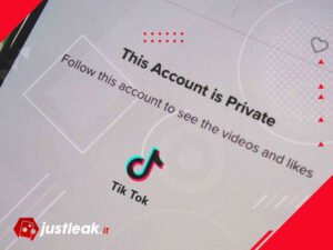 Gizli Bir TikTok Hesabını Herkese Açık Yapmak Mümkün Mü